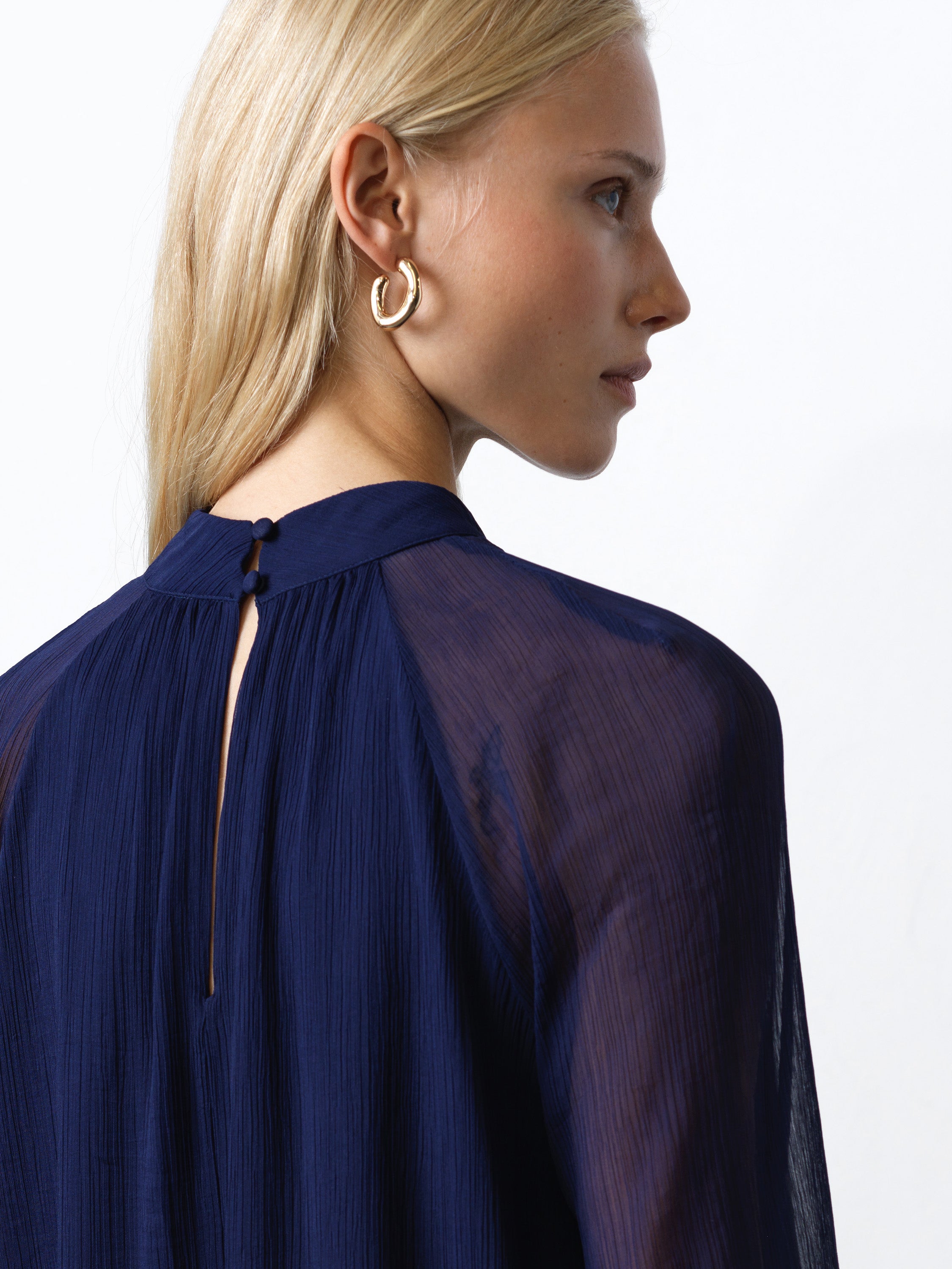 Emina Chiffon Long Sleeve Dress