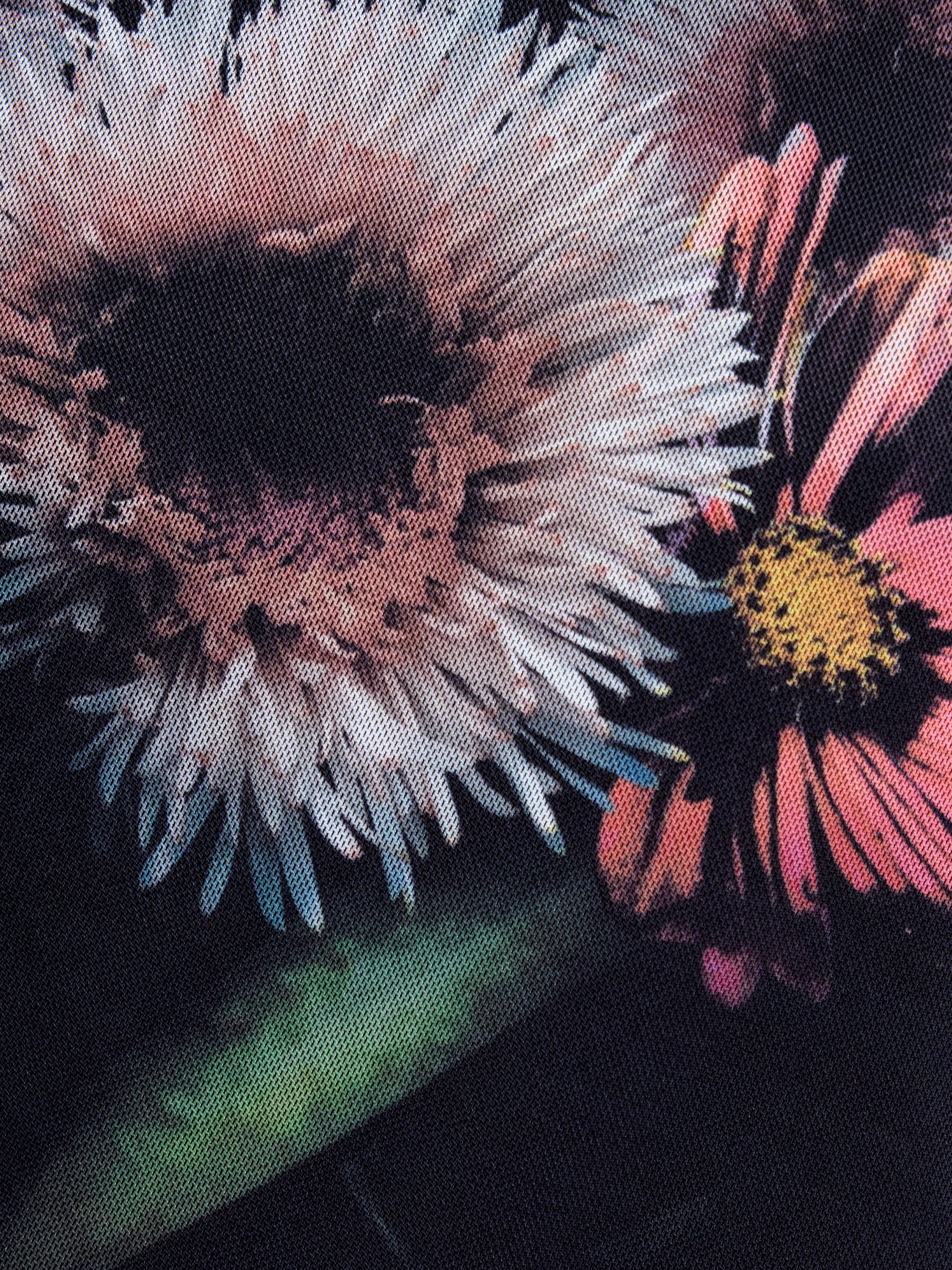 Tarissa Mesh Rose Long Sleeve Dress