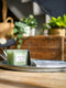 Mango Mojito Green Indulgence 200g Candle