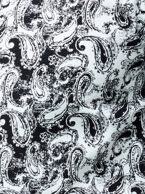 Paisley Print Long Sleeve Shirt