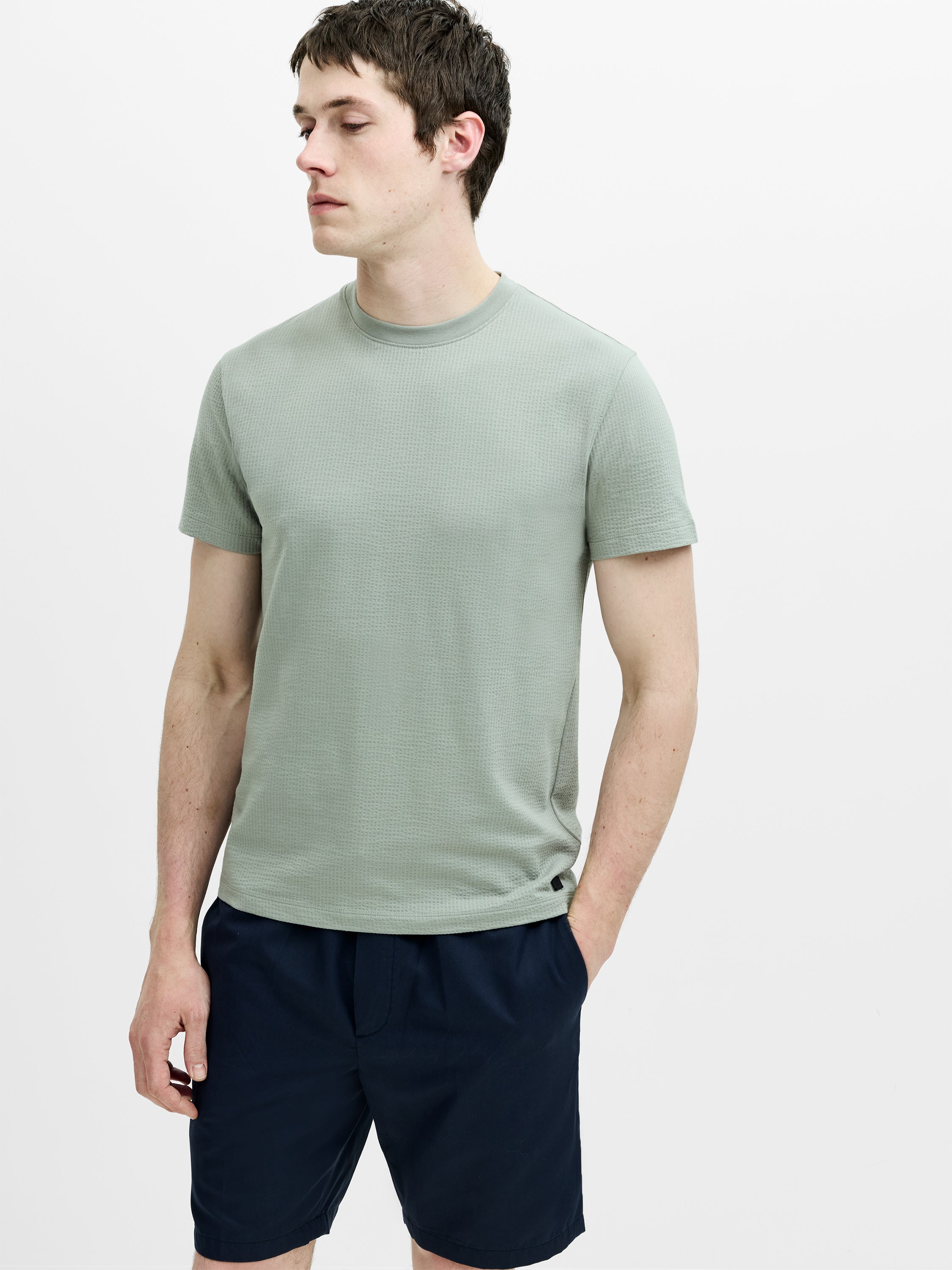 Short Sleeve Micro Seersucker Green Stripe T-Shirt