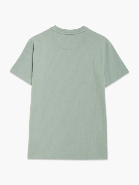 Short Sleeve Micro Seersucker Green Stripe T-Shirt