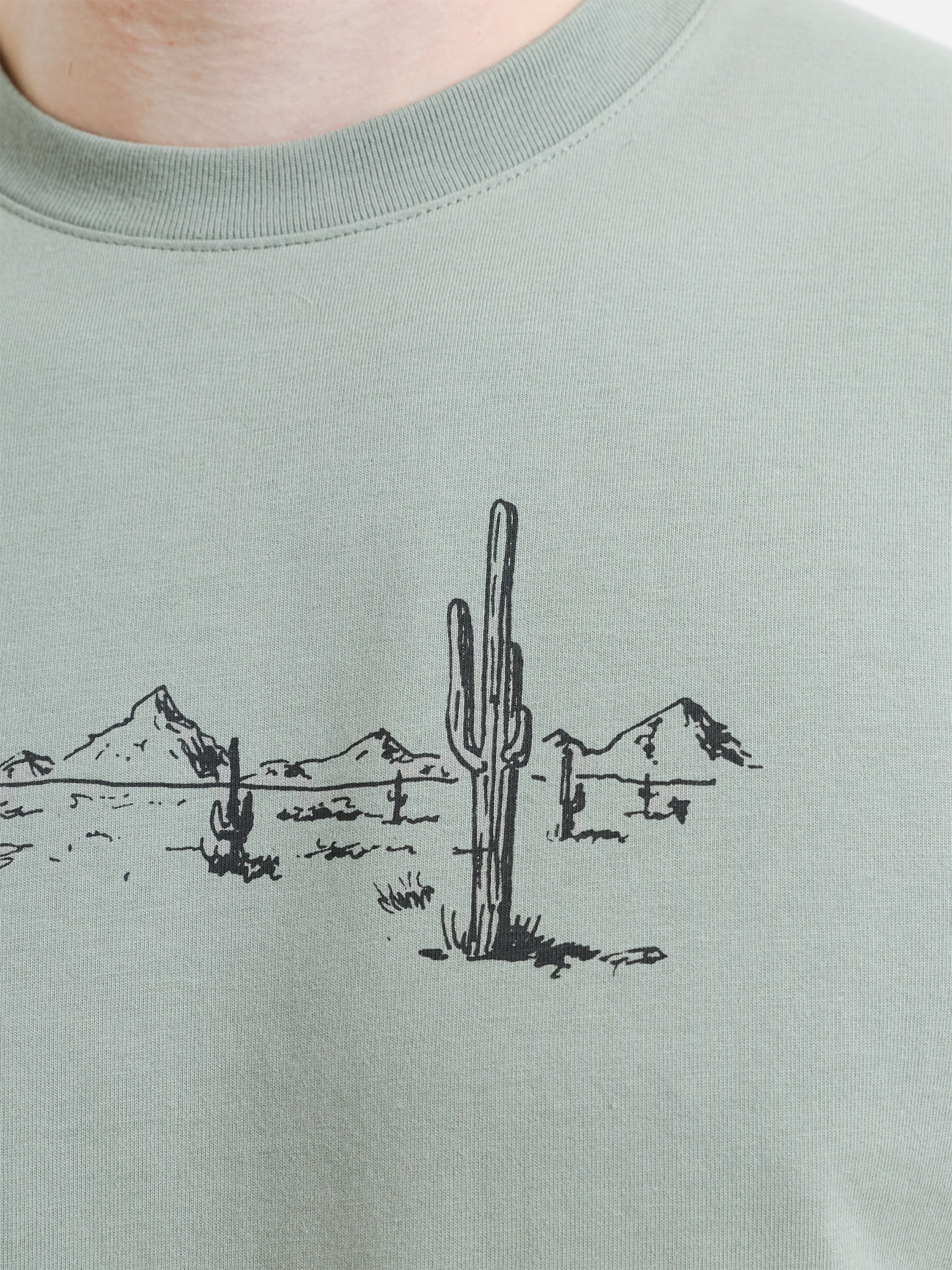 Organic Cotton Desert Graphic T-Shirt