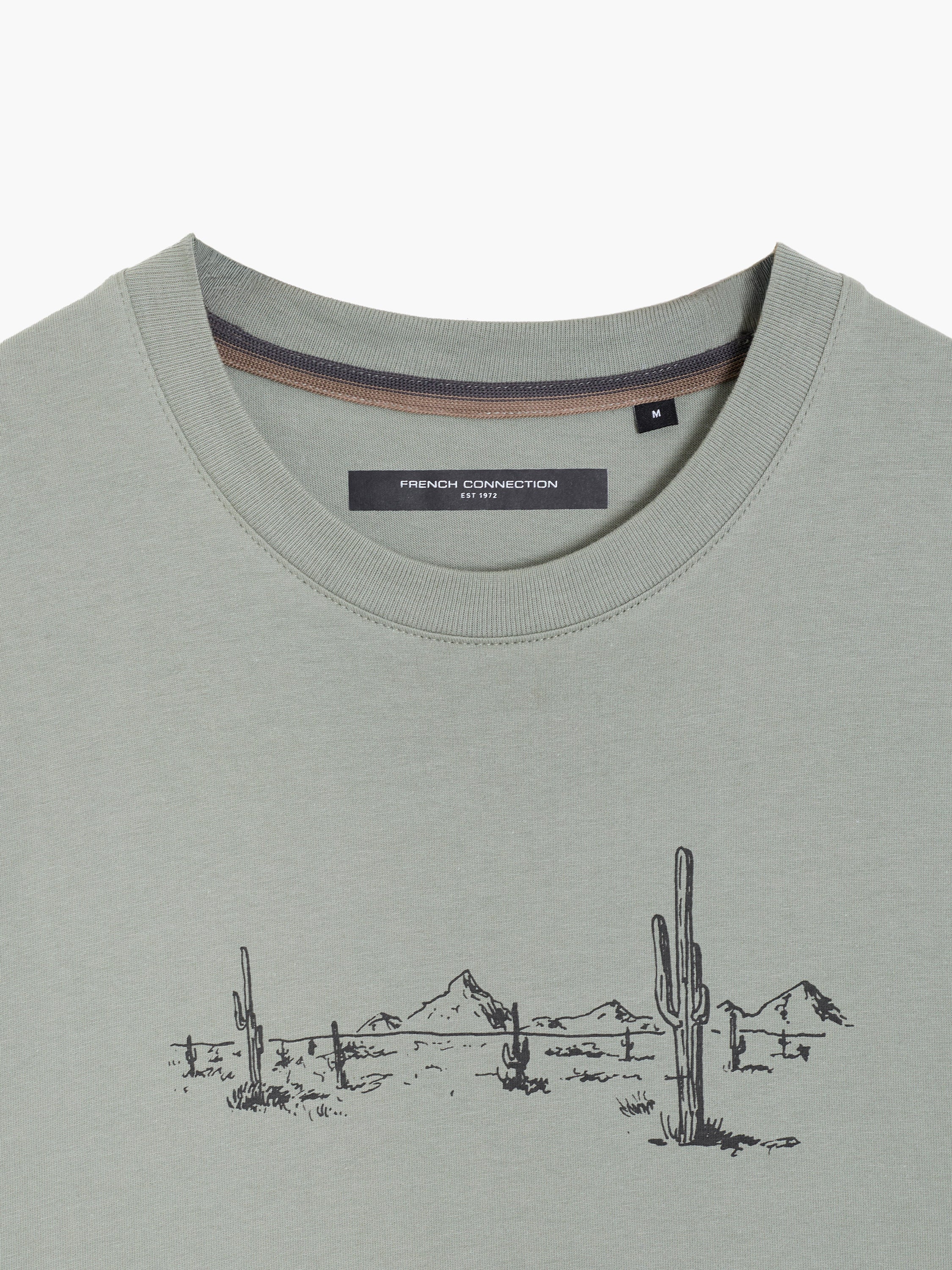 Organic Cotton Desert Graphic T-Shirt
