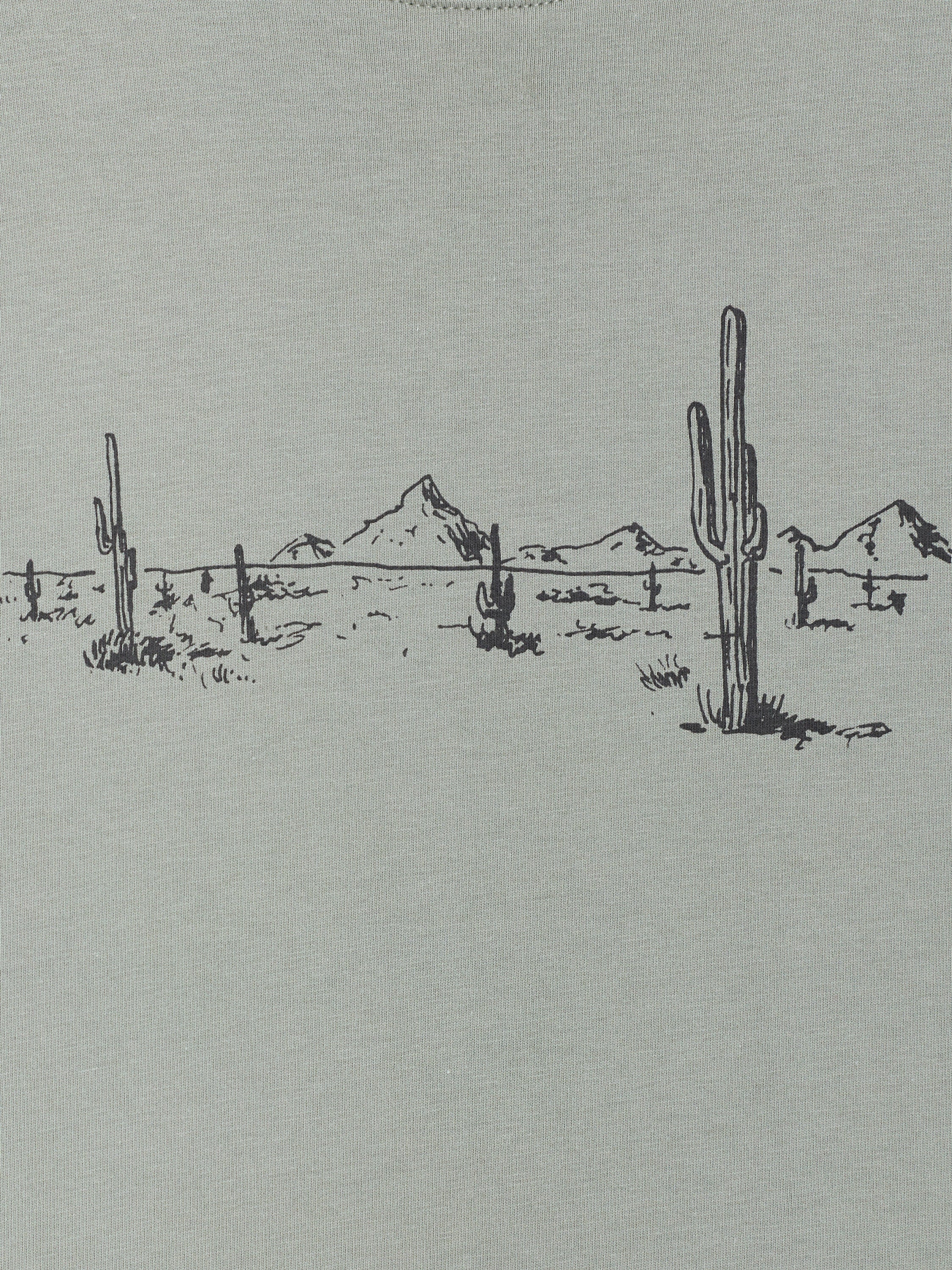 Short Sleeve Desert Graphic Sage Green T-Shirt