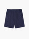 Twill Navy Blue Striped Shorts