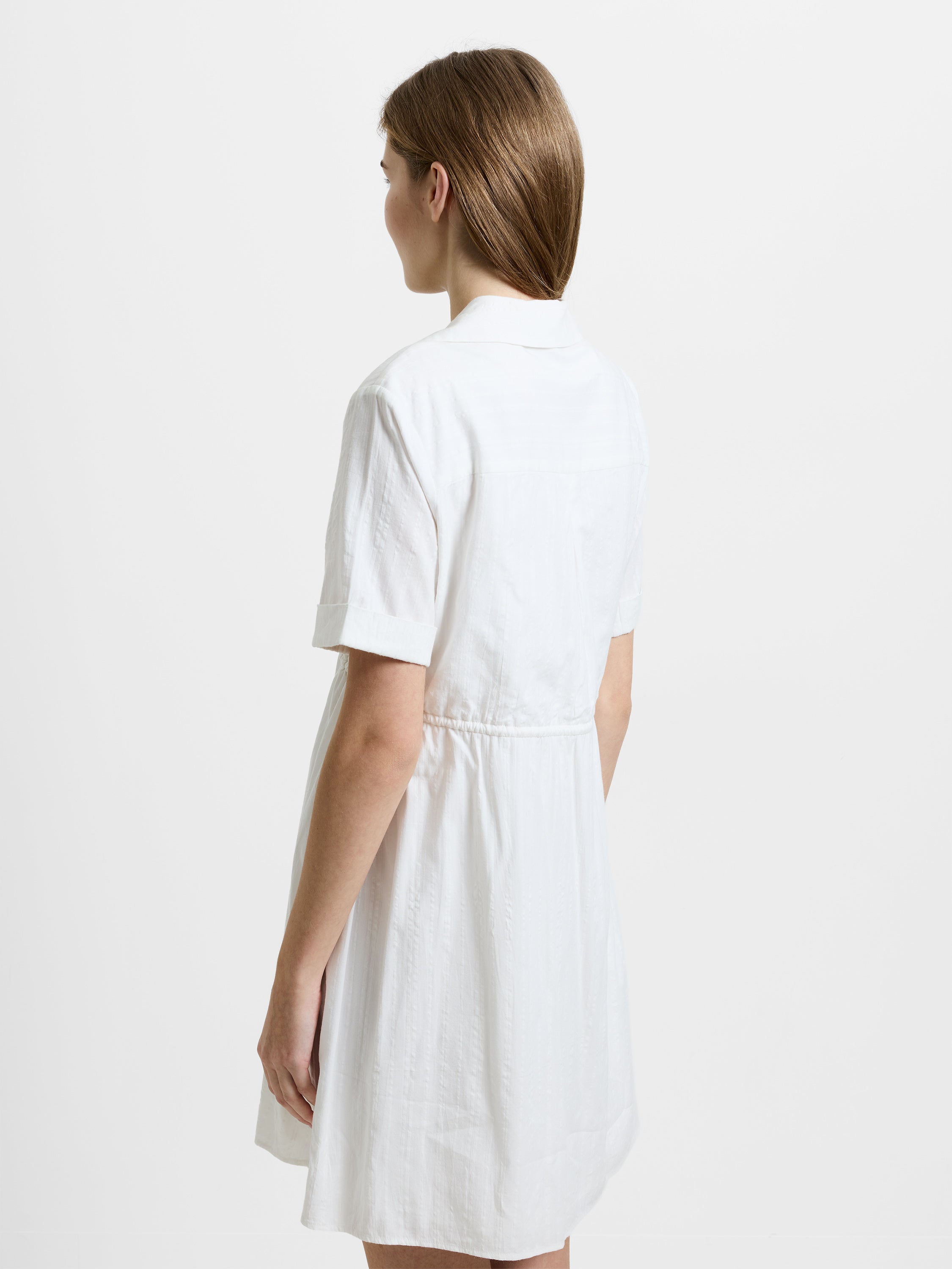 Barnet Cotton Embroidered Striped Mini Dress