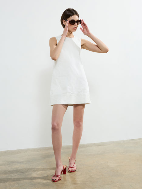 Pinstripe Sleeveless Shift Dress