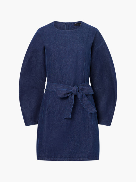 Leighton Denim Banana Sleeve Mini Dress