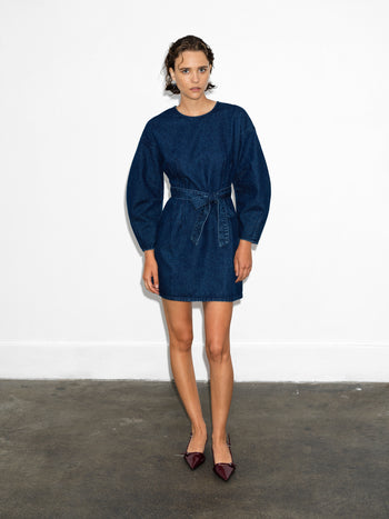 Leighton Denim Banana Sleeve Mini Dress