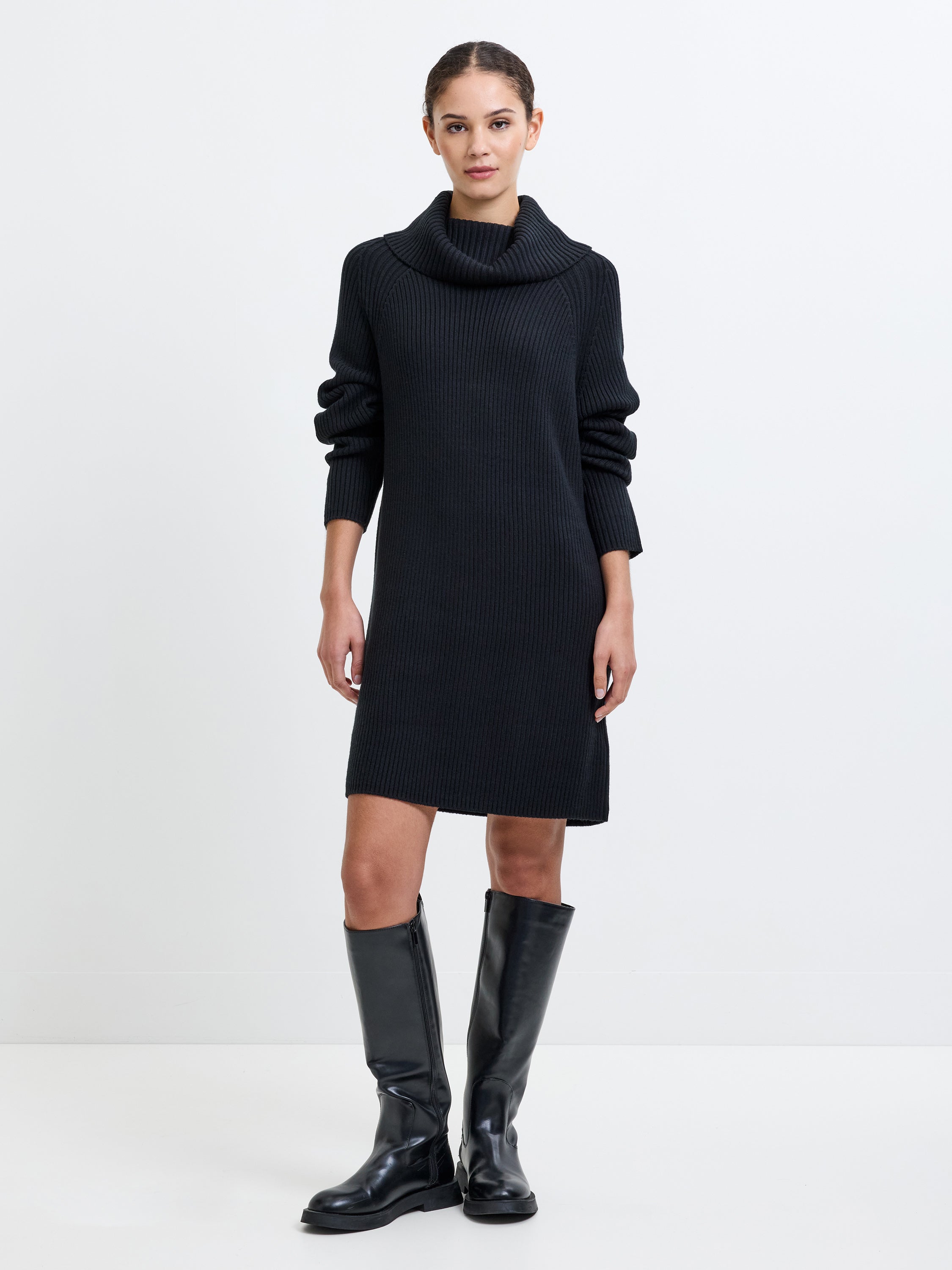 Babysoft Roll Neck Ribbed Knit Dress Black