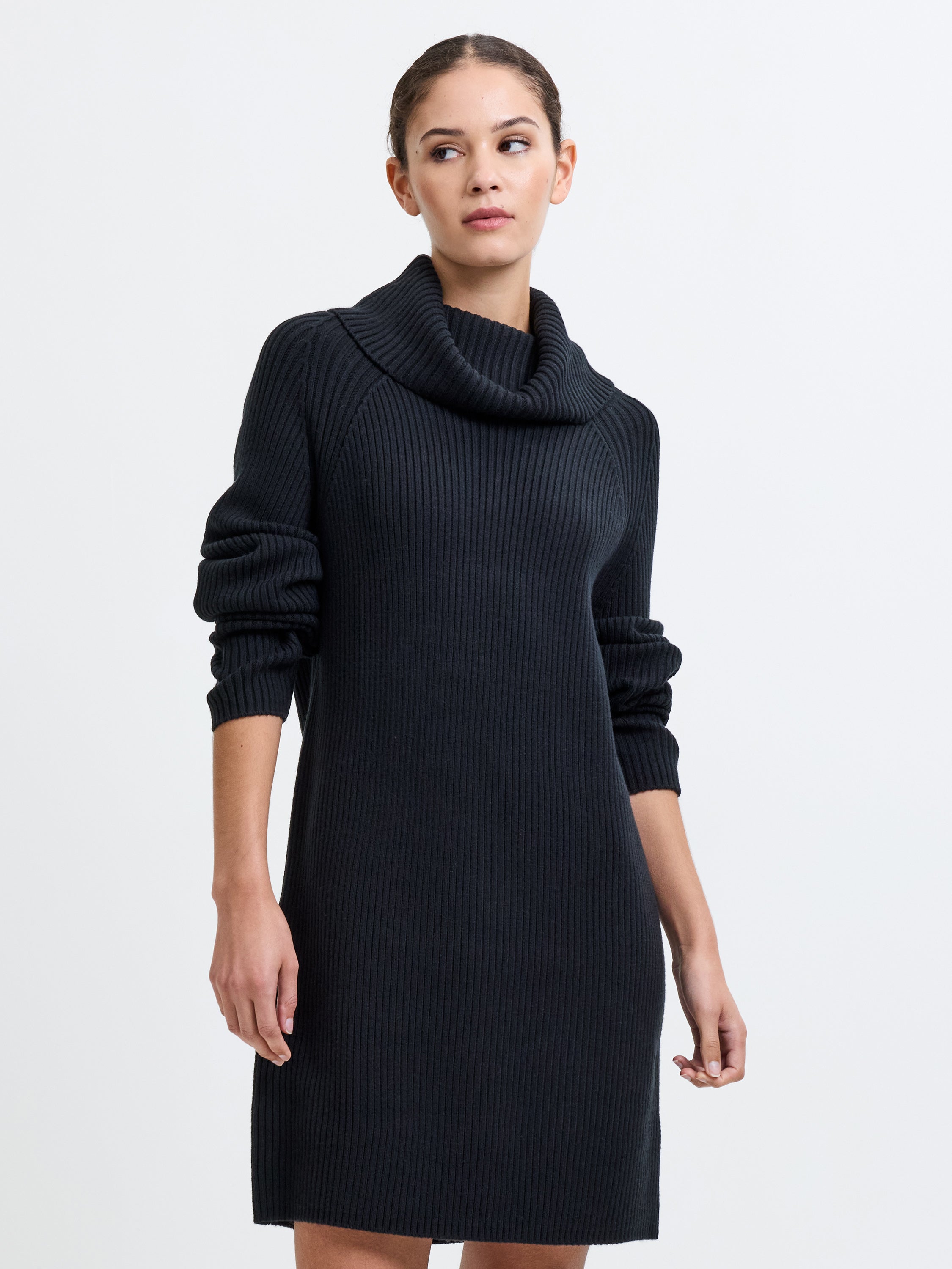 babysoft rib button front long sleeve sweater dress french connection hauteandhumid on LTK