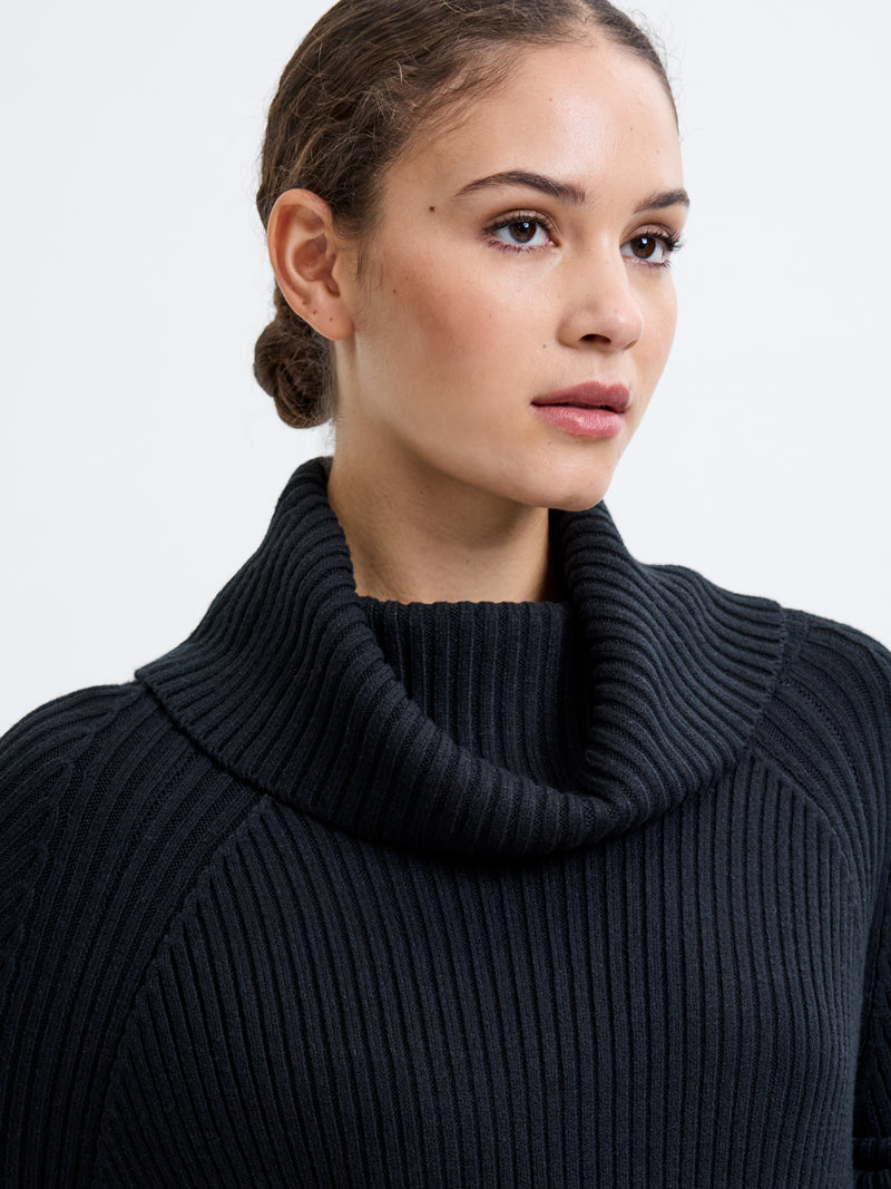 Babysoft Roll Neck Ribbed Knit Dress