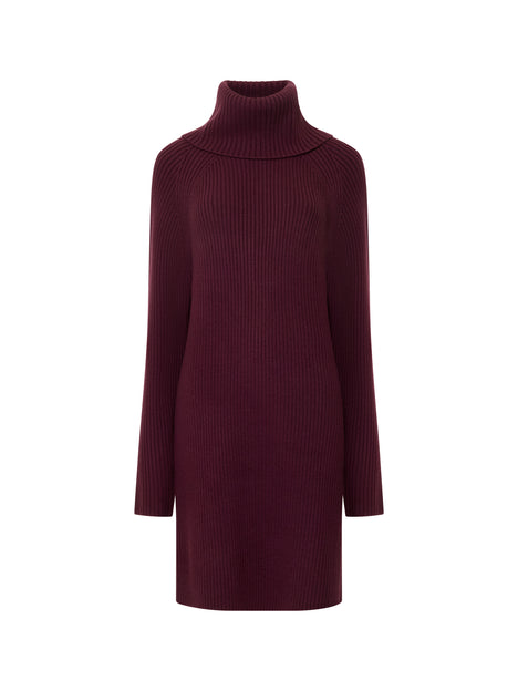 Babysoft Roll Neck Ribbed Knit Dress