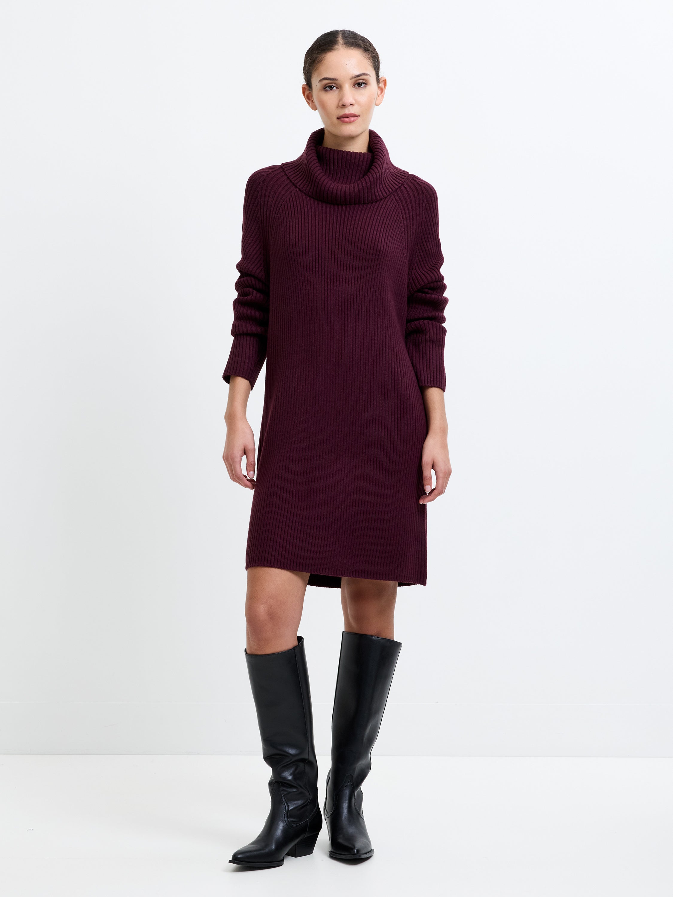 Babysoft Roll Neck Ribbed Knit Dress