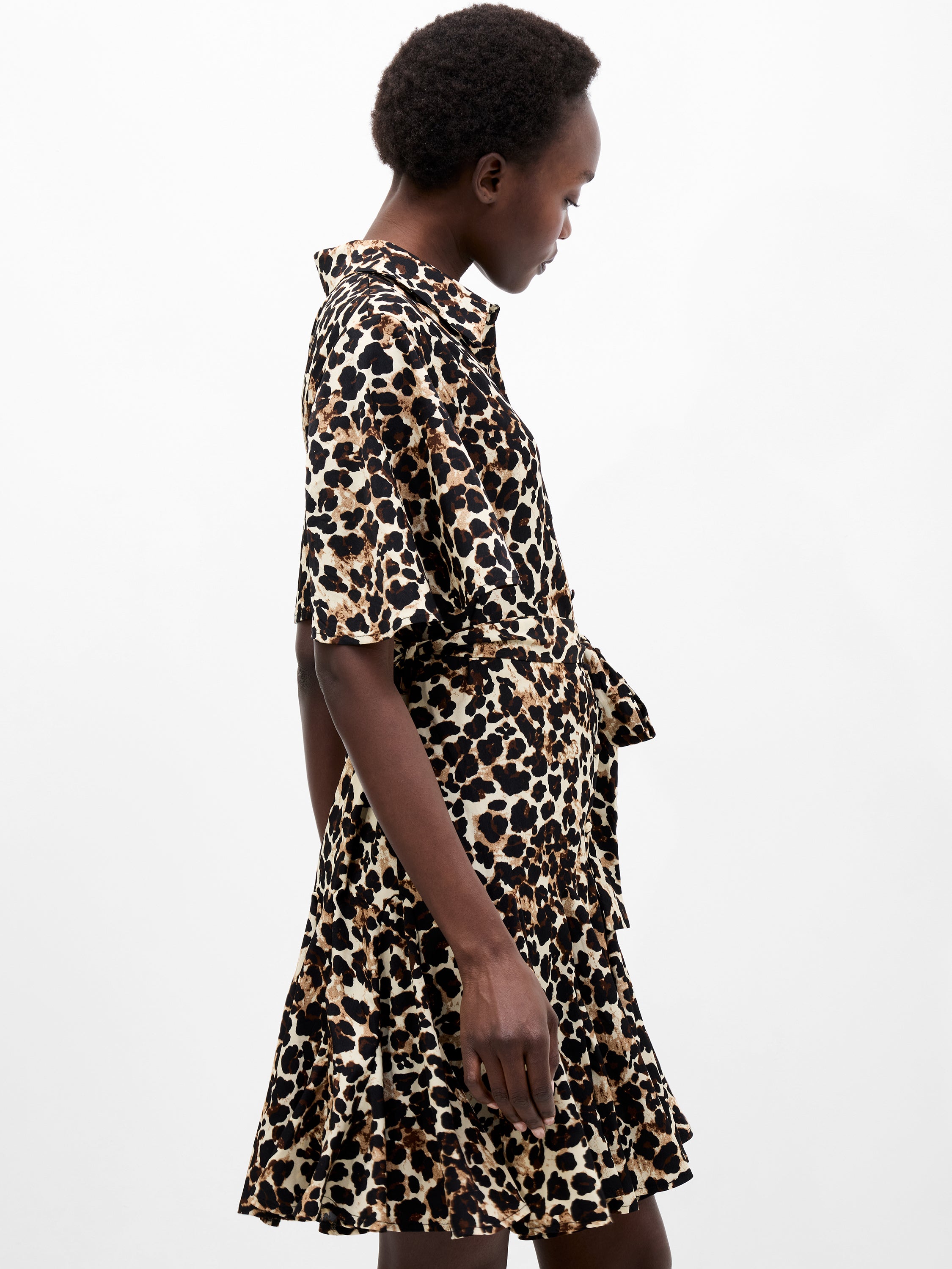 Leopard Print Short Sleeve Swing Dress