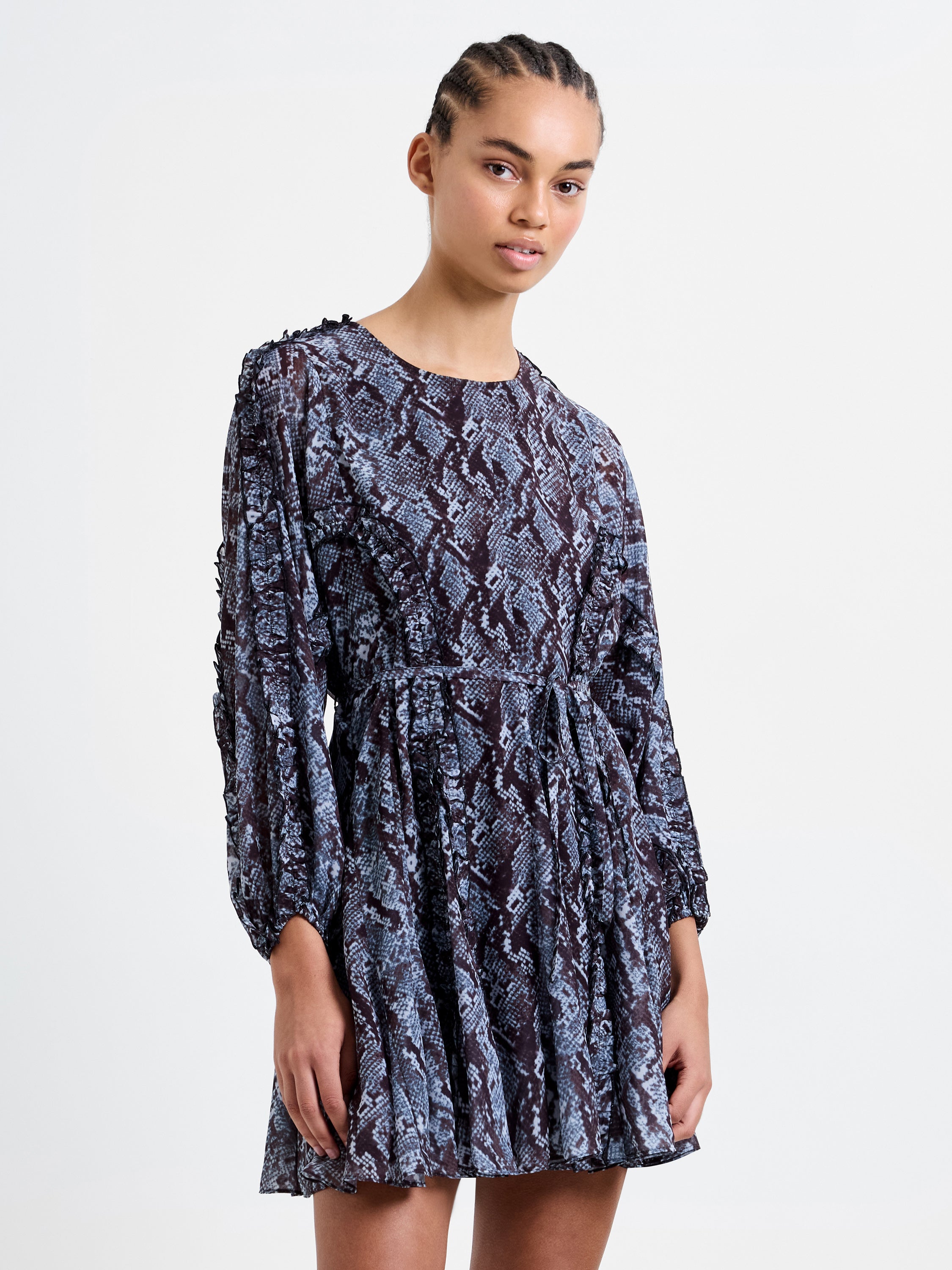 Snake Print Long Sleeve Mini Dress - Main Image