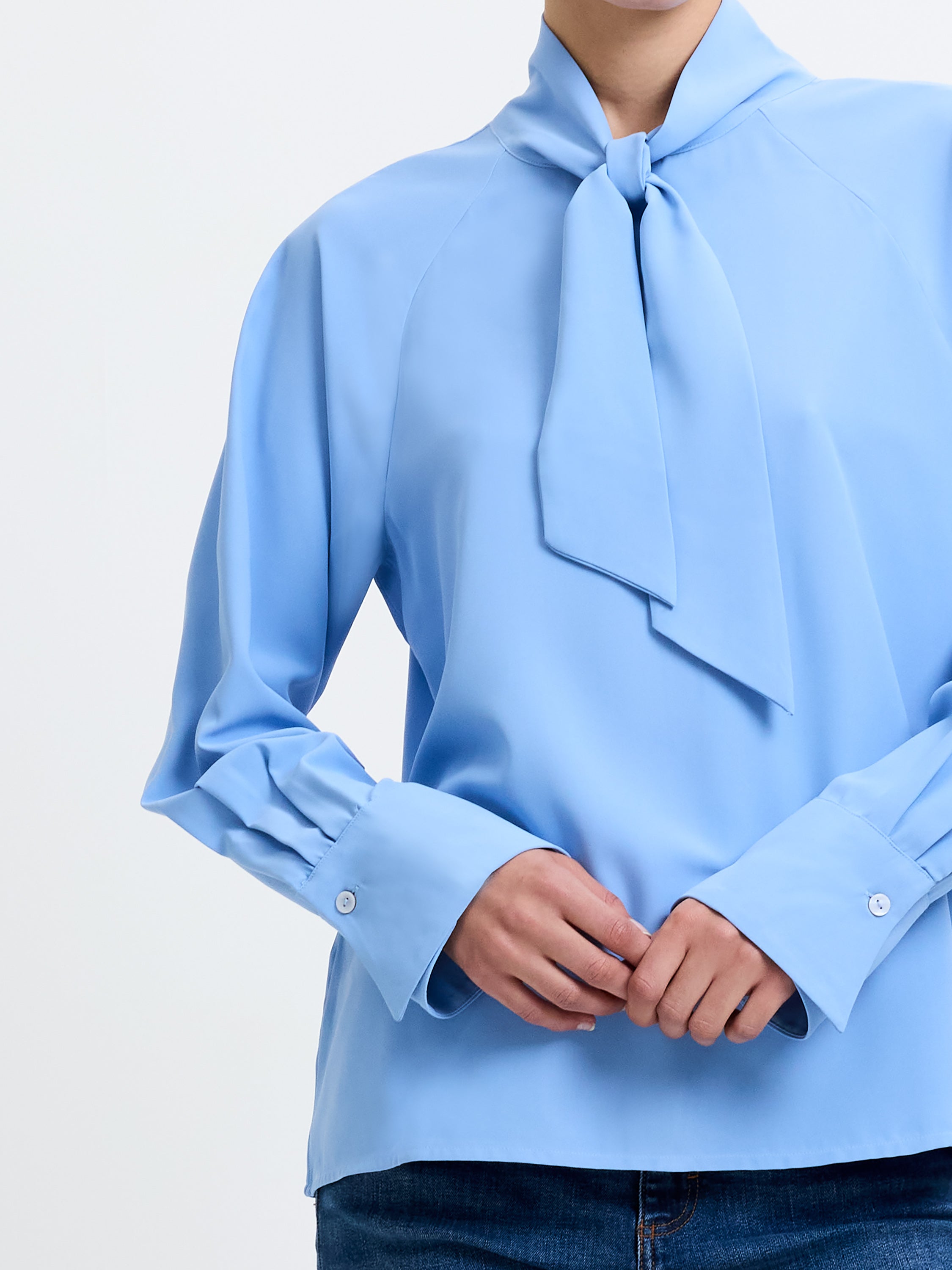 Crepe Tie Neck Blouse