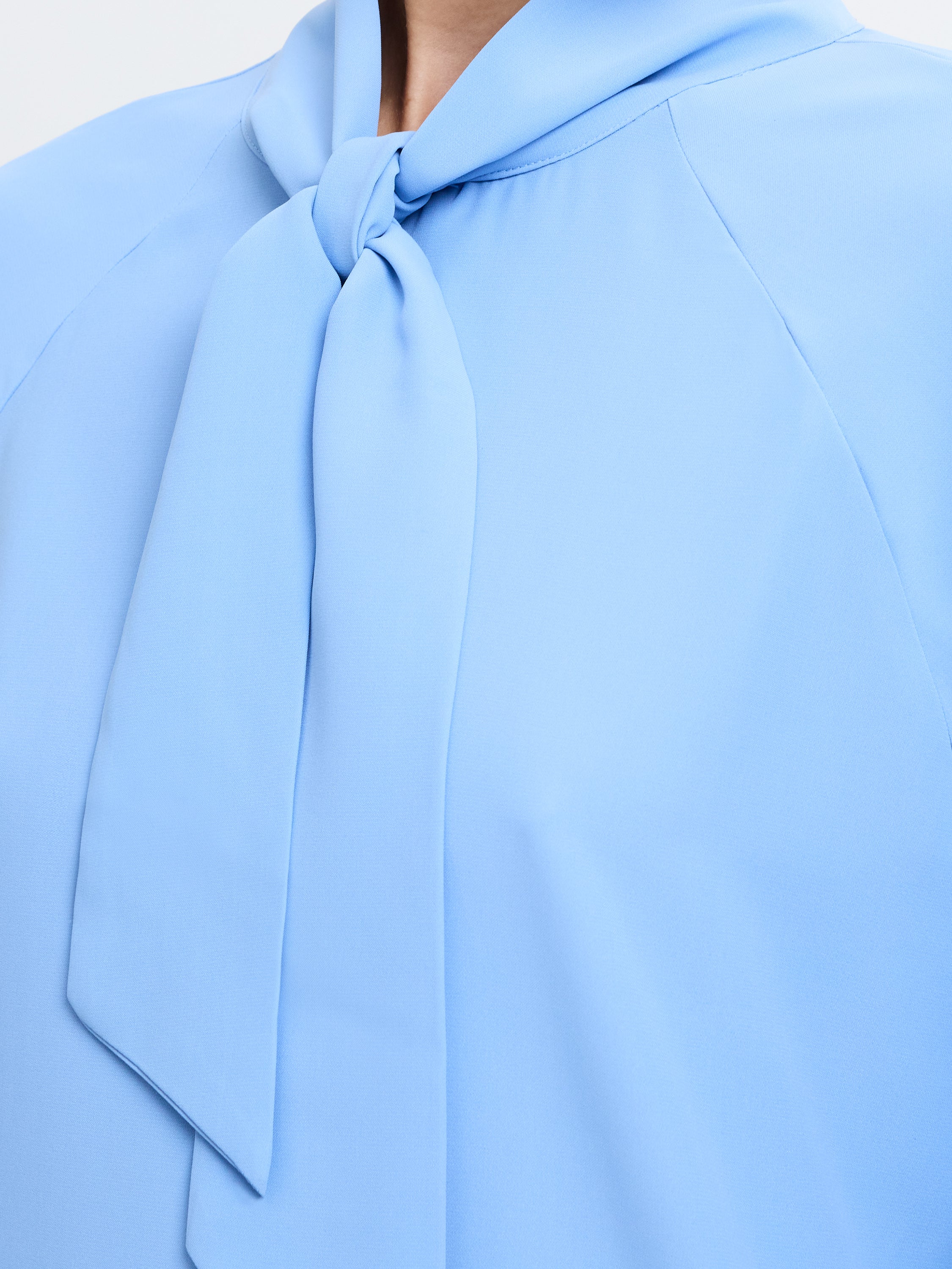 Crepe Tie Neck Blouse