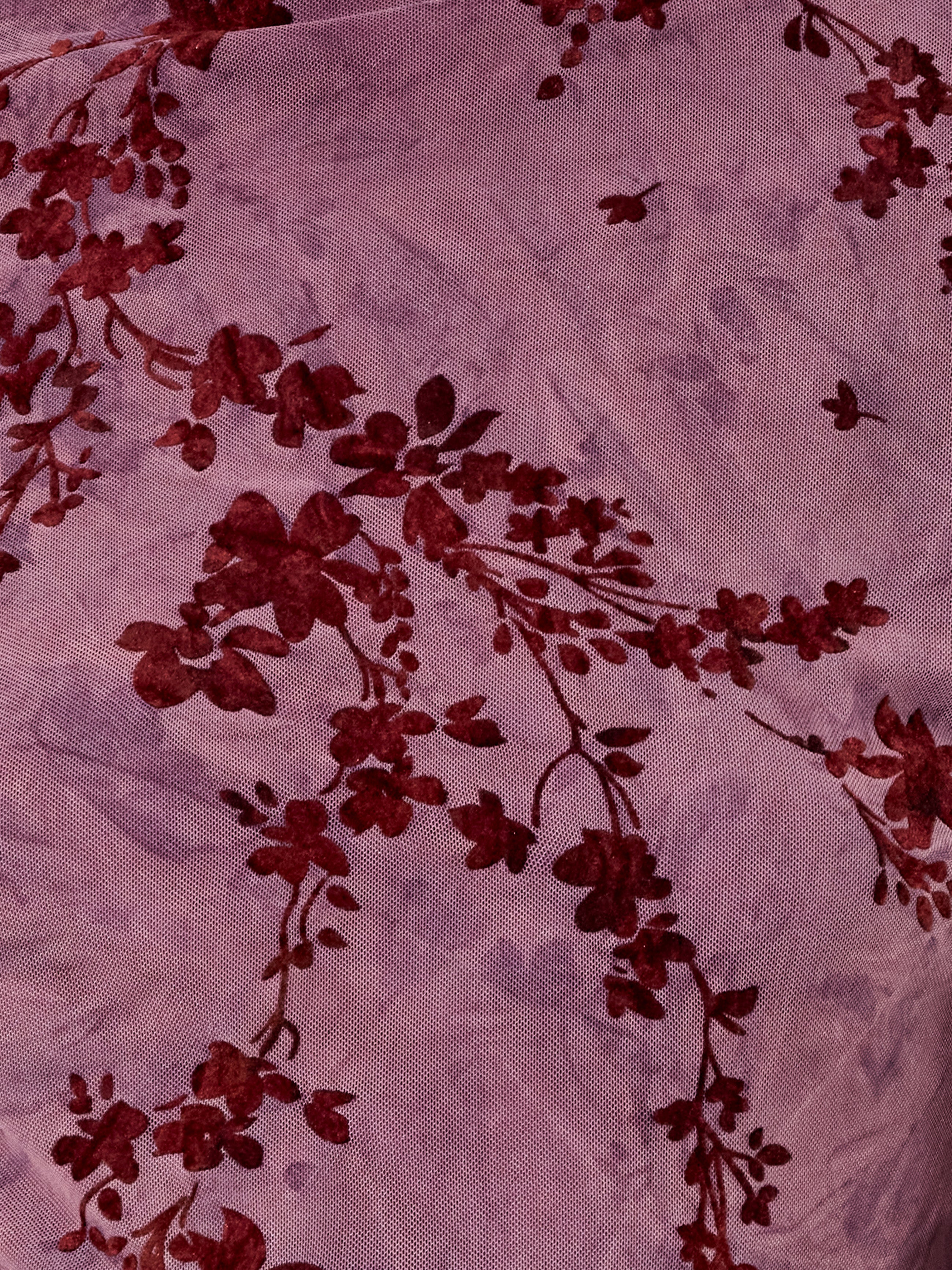 Kenny Mesh Velvet Devore Top