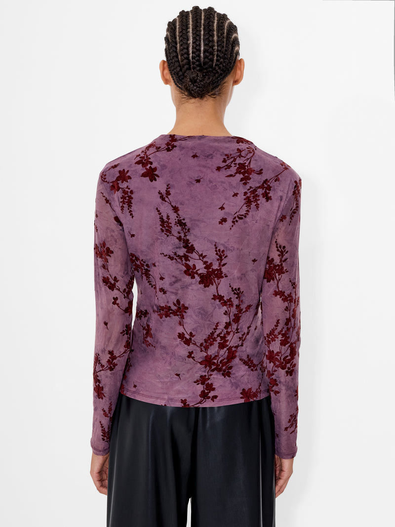 Kenny Mesh Velvet Devore Top
