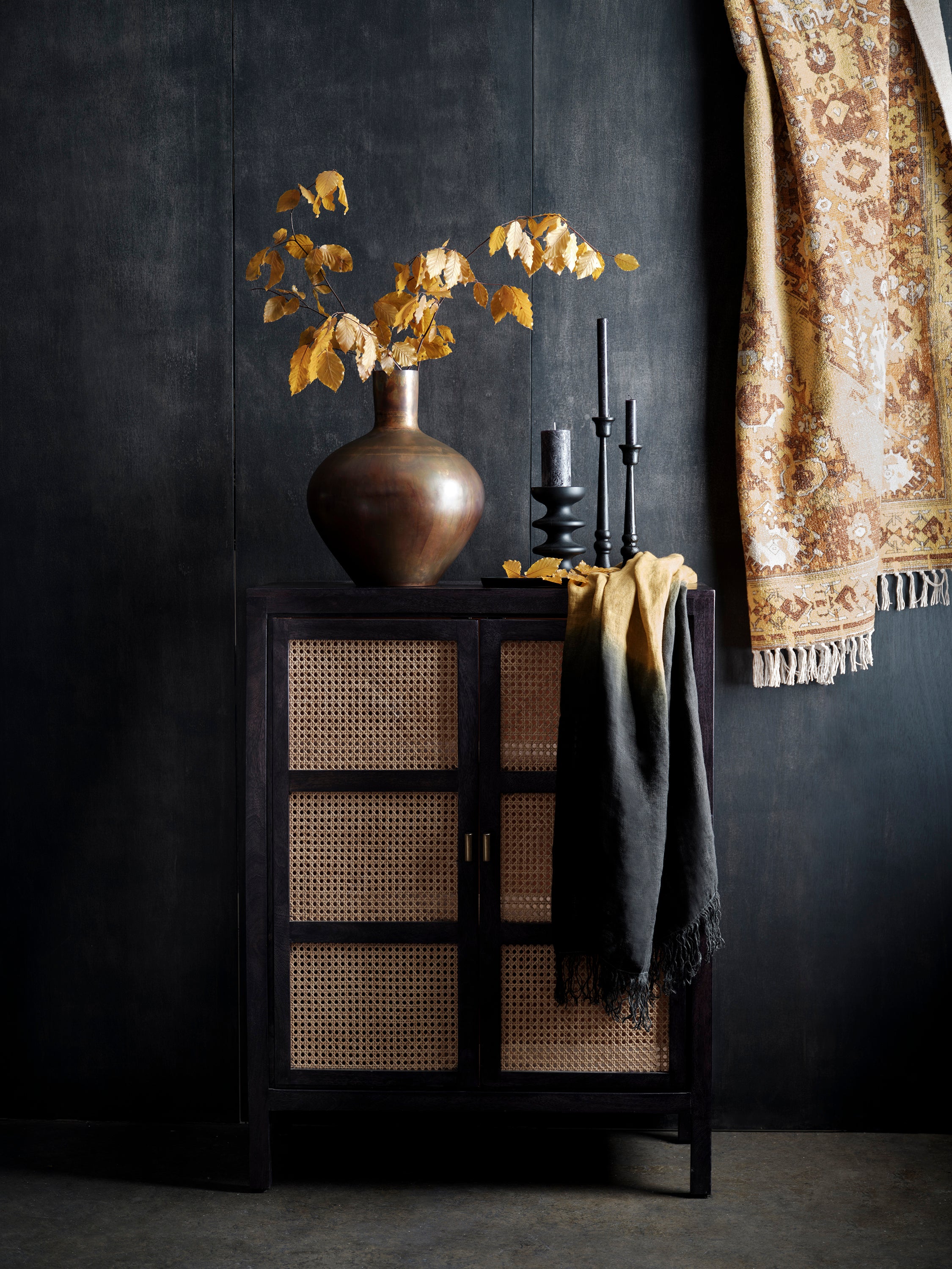 Noir French Cane Cabinet