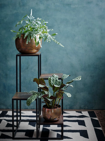 Puri Antique Planter