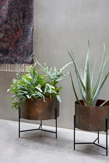 Large Indoor Antique Planter