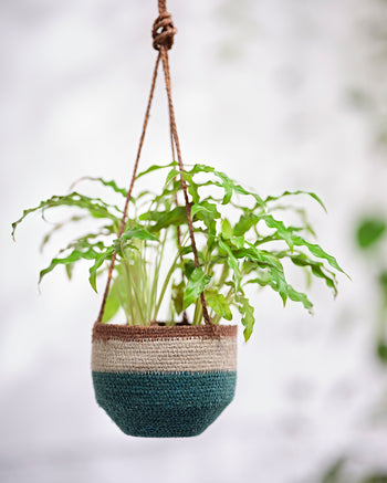 Small Green Hanging Basket